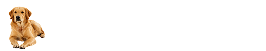 David Wilson Homes