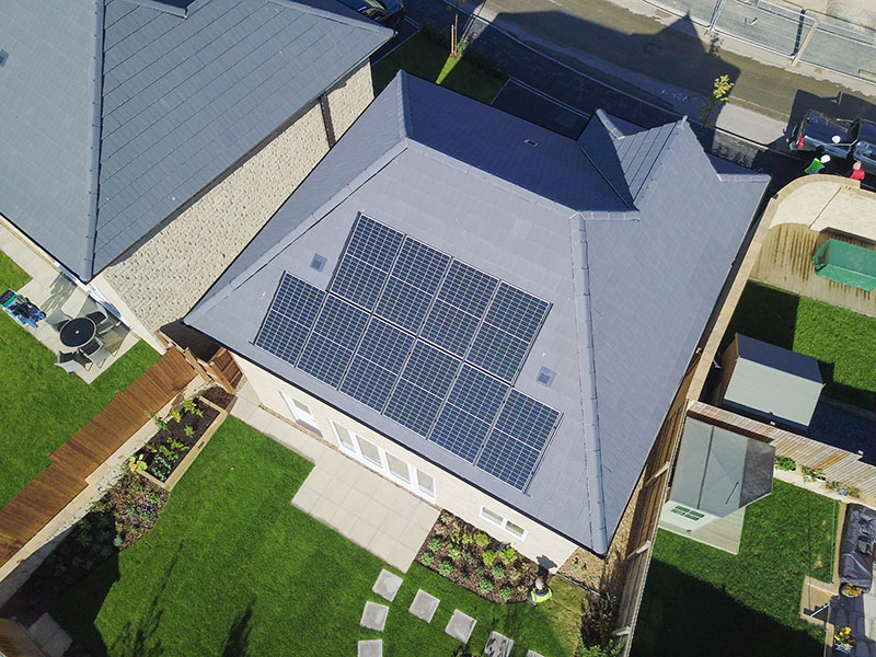 Our Net Zero Transition Plan